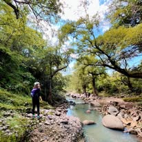 Tirolesa en la naturaleza
